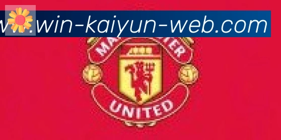 开云官方平台合作伙伴